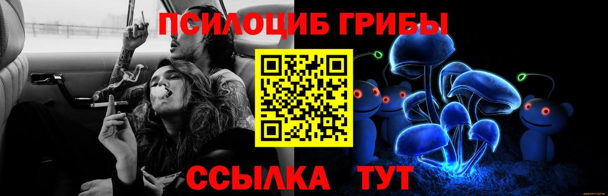 Вязники  Галлюциногенные грибы ЛСД  Вход с VPN 